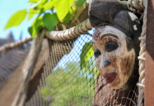 Les guerriers Zulu se lèvent contre la vaccination obligatoire les-zulu-prennent-les-armes-contre-la-vaccination-obligatoire