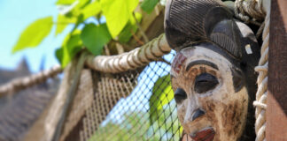 Les guerriers Zulu se lèvent contre la vaccination obligatoire les-zulu-prennent-les-armes-contre-la-vaccination-obligatoire