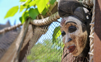 Les guerriers Zulu se lèvent contre la vaccination obligatoire les-zulu-prennent-les-armes-contre-la-vaccination-obligatoire