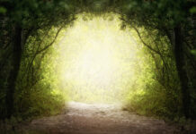 En 2022 j’opte pour le Vivant 2022-reponses-bio