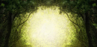 En 2022 j’opte pour le Vivant 2022-reponses-bio