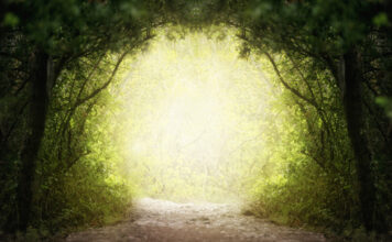 En 2022 j’opte pour le Vivant 2022-reponses-bio