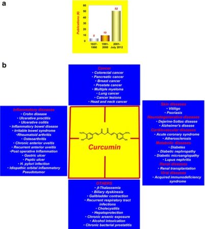 curcumine-lait-dor-immunite-reponsesbio