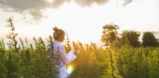 20 vertus du CBD prouvées scientifiquement reponsesbio-20-cbd-vertus-prouvees-par-la-science