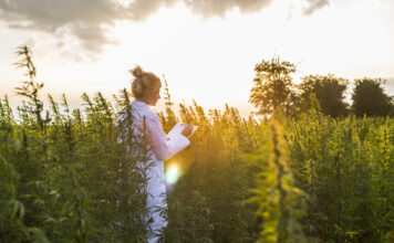 20 vertus du CBD prouvées scientifiquement reponsesbio-20-cbd-vertus-prouvees-par-la-science