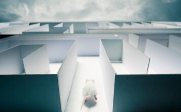 Le sirocco radioactif venu du Sahara revient reponsesbio-retour-sirroco-radioactif