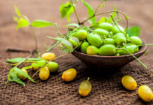 L’huile de Neem, la plus polyvalente des huiles cosmétiques Huile-de-neem-reponsesbio