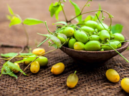 L’huile de Neem, la plus polyvalente des huiles cosmétiques Huile-de-neem-reponsesbio