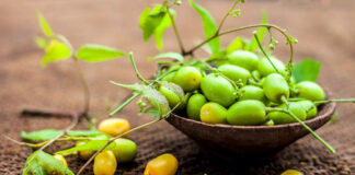 L’huile de Neem, la plus polyvalente des huiles cosmétiques Huile-de-neem-reponsesbio