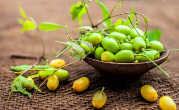 L’huile de Neem, la plus polyvalente des huiles cosmétiques Huile-de-neem-reponsesbio