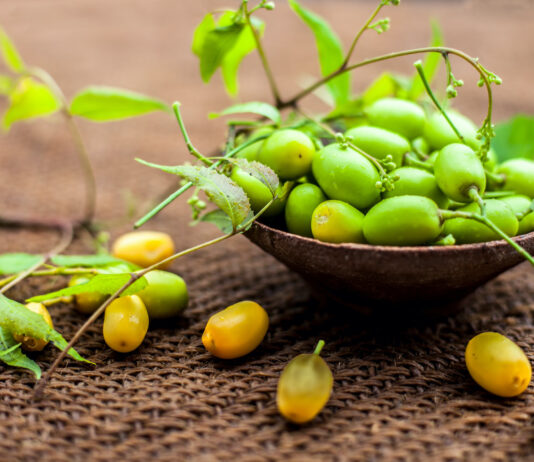 L’huile de Neem, la plus polyvalente des huiles cosmétiques Huile-de-neem-reponsesbio