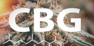 Le CBG, une piste contre les troubles neurologiques dus aux vaccins cbg-pourrait-prevenir-les-troubles-psychologiques-dus-aux-vaccins-reponses-bio-