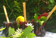7 boissons et recettes rafraîchissantes pour l’été 7-recettes-rafraichissantes-reponsesbio