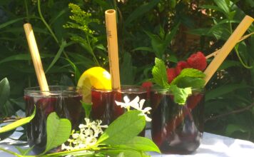 7 boissons et recettes rafraîchissantes pour l’été 7-recettes-rafraichissantes-reponsesbio