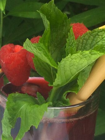 Hibiscus-framboise-menthe-reponsesbio