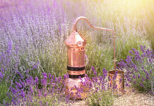 Le danger des huiles essentielles Le-danger-des-huiles-essentielles-reponsesbio