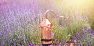 Le danger des huiles essentielles Le-danger-des-huiles-essentielles-reponsesbio