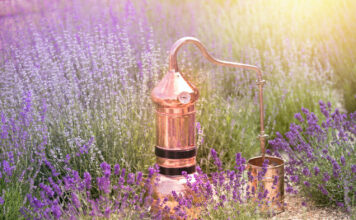 Le danger des huiles essentielles Le-danger-des-huiles-essentielles-reponsesbio