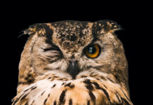 Réponses Bio s’unit à vous Reponses-Bio-s-unit-avec-vous