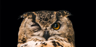 Réponses Bio s’unit à vous Reponses-Bio-s-unit-avec-vous