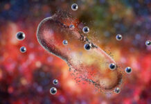 Les nouvelles preuves de la capture des nanoparticules par le charbon ultra activé Adsorption-nanoparticules-par-le-charbon-moso-3000-reponsesbio