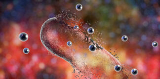 Les nouvelles preuves de la capture des nanoparticules par le charbon ultra activé Adsorption-nanoparticules-par-le-charbon-moso-3000-reponsesbio