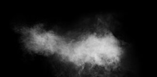 Le Bambou Spray, étudié en sa qualité de modulateur des cytokines pro-inflammatoires Le-Bambou-Spray-etudie-comme-modulateur-des-citokynes-pro-inflammatoires-reponses-bio