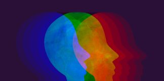 Le destin de la francophonie est-il lié à l’unification du monde ? Francophonie-unifcation -du-monde