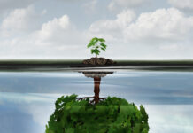 Réponses Bio se Réinvente Réponses Bio se réinvente