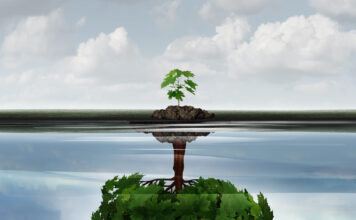 Réponses Bio se Réinvente Réponses Bio se réinvente