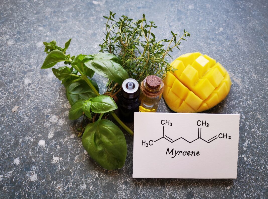myrcene-huile-essentielle-cannabis-sativa-bio-reponsesbio myrcene-huile-essentielle-cannabis-sativa-bio-reponsesbio
