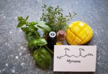 L’huile essentielle de cannabis, le myrcène et les dangers du CBD industriel myrcene-huile-essentielle-cannabis-sativa-bio-reponsesbio