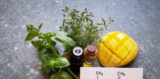 L’huile essentielle de cannabis, le myrcène et les dangers du CBD industriel myrcene-huile-essentielle-cannabis-sativa-bio-reponsesbio