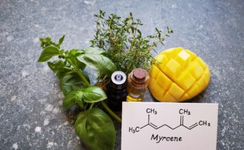 L’huile essentielle de cannabis, le myrcène et les dangers du CBD industriel myrcene-huile-essentielle-cannabis-sativa-bio-reponsesbio