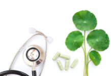 Gotu Kola : L’autre Brahmi Centella-asiatica-Gotu-Kola-l-autre-brahmi-reponses-bio
