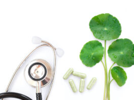 Gotu Kola : L’autre Brahmi Centella-asiatica-Gotu-Kola-l-autre-brahmi-reponses-bio