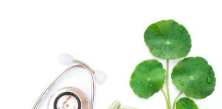 Gotu Kola : L’autre Brahmi Centella-asiatica-Gotu-Kola-l-autre-brahmi-reponses-bio
