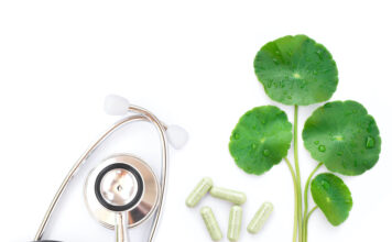 Gotu Kola : L’autre Brahmi Centella-asiatica-Gotu-Kola-l-autre-brahmi-reponses-bio