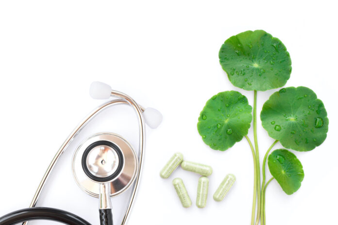 Centella-asiatica-Gotu-Kola-l-autre-brahmi-reponses-bio