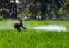 pesticides neurotoxiques-dans-des-complements-nutritionnels-bio-reponses-bio?