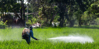 Des pesticides neurotoxiques dans des compléments nutritionnels bio ? pesticides neurotoxiques-dans-des-complements-nutritionnels-bio-reponses-bio?