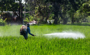 Des pesticides neurotoxiques dans des compléments nutritionnels bio ? pesticides neurotoxiques-dans-des-complements-nutritionnels-bio-reponses-bio?