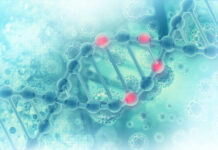 Les caroténoïdes protègent votre ADN Caroténoïdes protègent votre ADN