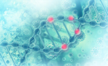 Les caroténoïdes protègent votre ADN Caroténoïdes protègent votre ADN