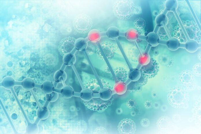 Caroténoïdes protègent votre ADN