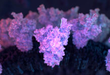 Témoignage Exclusif #2 : Eric Bourdon dénonce les effets de la glycoprotéine spike sur ses patients