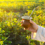 L’extrait d’énergie solaire veillant sur votre minceur et votre santé Mate-bio-vertus-sante-reponsesbio