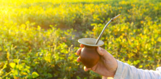 L’extrait d’énergie solaire veillant sur votre minceur et votre santé Mate-bio-vertus-sante-reponsesbio