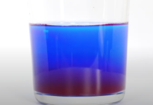 Phycocyanine-dosage-alzheimer-et-cerveau-reponsesbio