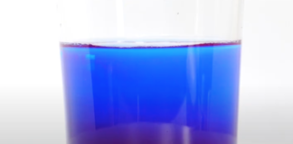 La Phycocyanine, Alzheimer et la dégénérescence cognitive Phycocyanine-dosage-alzheimer-et-cerveau-reponsesbio